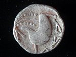 Tetradrachma, typ 