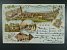 M�STOPIS - Cheb (Eger), bar. v�cez�b�rov� litograf. pohl., pro�l� 1898