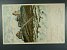 M�STOPIS - Sn�ka, bar. litograf. pohl., pro�l� 1905