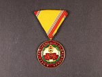 Záslužná medaile za 10 let služby, typ 1965
