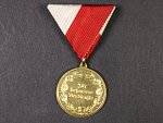 Medaile Za zvláštní službu Zemského veteránského spolku Horní Rakousko zlatá