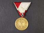 Medaile Za zvláštní službu Zemského veteránského spolku zlatá