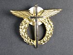 Odznak pilot - mistr, II.typ po roce 1995