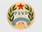 Odznak PSVB vzorny člen