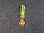 Miniatura medaile pro bojovníky 1940 - 1945