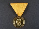 Medaile rakouské spolkové země Steiermark za 25 let u požární a záchrané služby