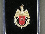 Plukovní odznak 1. spojovacího pluku, (1. Transmissions Regiment) punc Ag 900, zn. SILBER, originální etue, vzácné 