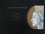 100 Dolar 2019 W Liberty, vysoký reliéf, 31,108 g, Au 0,999, certifikát, etue