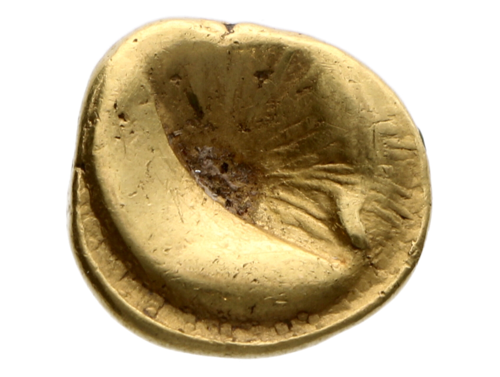Čechy, Kelti Statér (2./1. stol. př. Kr.) Mušlový typ, rub 