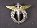Odznak pilot, I.typ 1993 - 1995