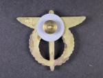 Odznak pilot, I.typ 1993 - 1995