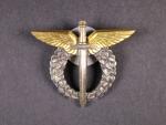 Odznak pilot, I.typ 1993 - 1995