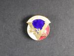Pamětní odznak čs. armády ve Velké Británii, Czechoslovakia - V (victory)