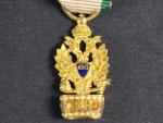 Miniatura Řádu železné koruny, vydání 1825-1840/45, zlato, nepuncováno, 19x10 mm