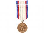 Medaile - Za upevňování přátelství ve zbrani III. třída, etue
