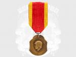 Medaile vděčnosti města Lutych 1940-1945