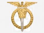 Odznak Pilot mistr