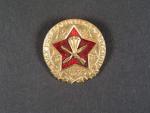 Odznak I. sjezdu 1956
