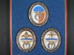 Pamětní plakety Národní letecké sbírky 1946 v originální etui