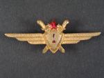 Odznak třídního specialisty letectva 1954-68. Pilot 1tř. č.224