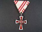 Vyznamenání za zásluhy o červený kříž, kříž II. stupně, Ag