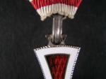 Vyznamenání za zásluhy o červený kříž, kříž II. stupně, Ag