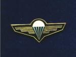 Odznak výsadkářů - nezavedený MISTR , na služební uniformu