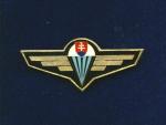 Odznak výsadkářů - nezavedený MISTR na služební uniformu