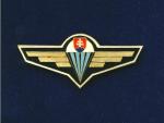 Odznak výsadkářů - nezavedený INSTRUKTOR na služební uniformu