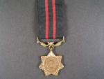 Záslužná hvězda za účast ve válce proti Indii v r. 1971