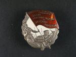 Odznak vojáku rudé gardy a rudému partyzánu, sběratelská kopie