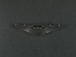 Pilotní odznak, na reversu značen STERLING, rozměry 50 x 15 mm