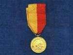 Zlatá pamětní medaile partyzánské organizace generála dr. Koutňáka–Vela