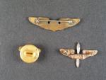 Miniatury leteckých odznaků USA