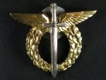 Odznak pilot - mistr, I.typ 1993 - 1995