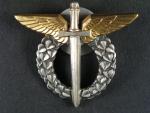 Odznak pilot, I.typ 1993 - 1995