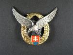Odznak letovoda létajícího 1. třídy č.4061, od r. 1993