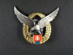 Odznak letovoda létajícího 1. třídy č.4063, od r. 1993