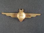 Odznak letovoda beztřídního, původně dělostřeleckého leteckého pozorovatele č.407