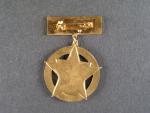 Čestný odznak Za ochranu hranic ČSSR 1.stupeň, na jehlu