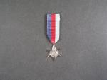 Miniatura hvězdy 1939-1945