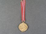 Miniatura ČS Revoluční medaile