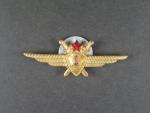 Odznak třídního specialisty letectva 1954-68. Pilot 1tř.