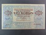 100 Kč 1919, sběratelská kopie ČNS pobočky papírová platidla, oboustranná