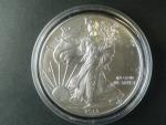 1 $ 2013 Liberty, 1 OZ Ag