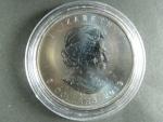 5 Dollars 2013 Maple Leaf 1 OZ Ag 999,9