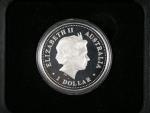 Stříbrná pamětní 1 dolarová mince k mileniu 2000, 1oz