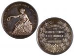 Záslužné - AR medaile, Čestná cena za zásluhy v zahradnictví, Verband der Mittelfränkischen obstbauvereine, Německo 19. stol., Ag, průměr 37mm