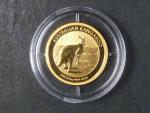 15 Dollars 2013 - 1/10 Oz  Au - Kangaroo, kvalita proof, Au 999/1000