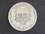 1 Koruna 1893 KB_